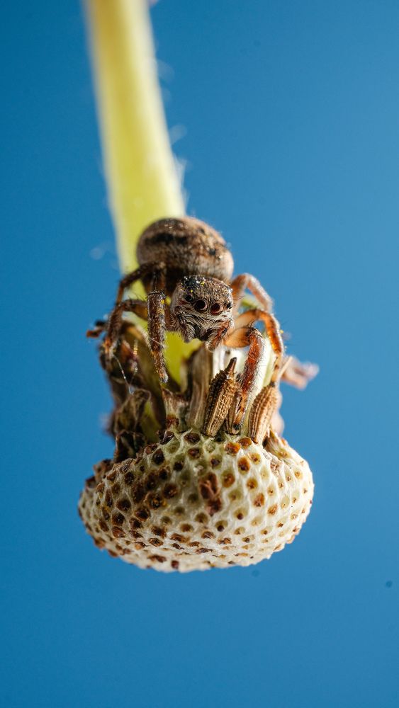 Photograph by Антон Кувшинов