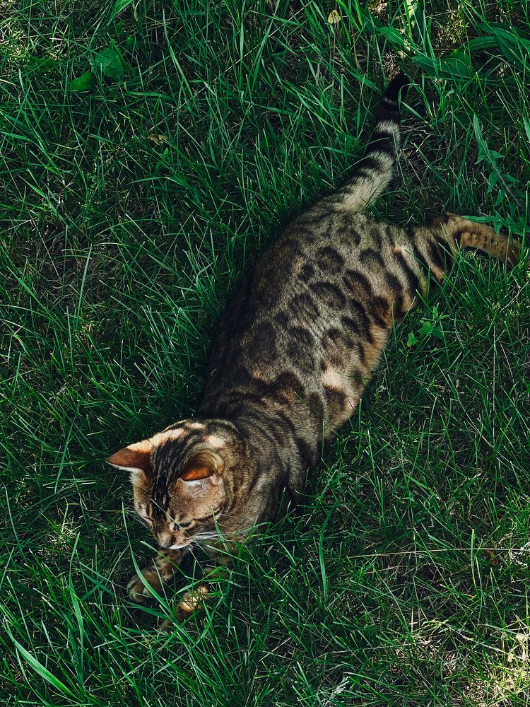 Photograph by Елена Громова