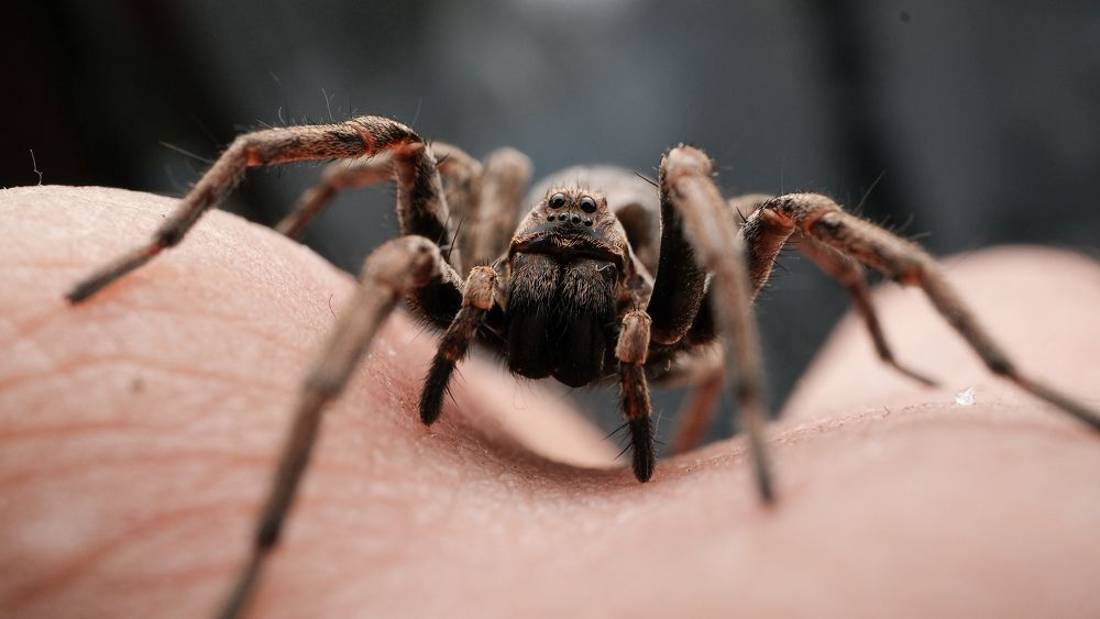 Photograph by Антон Кувшинов