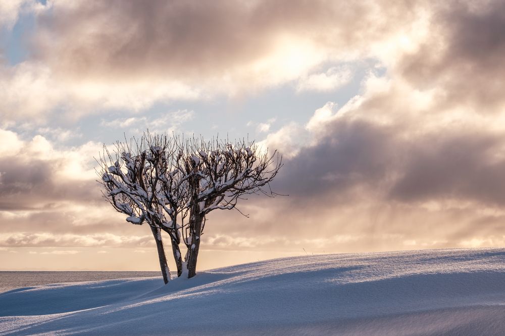 Photograph by Георгий Бычковский