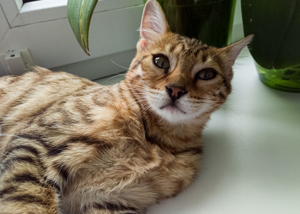 Photograph by Алексей Крукович