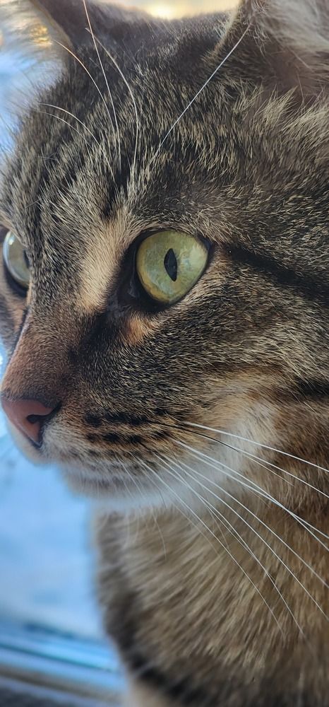 Photograph by Tatiana Denisova