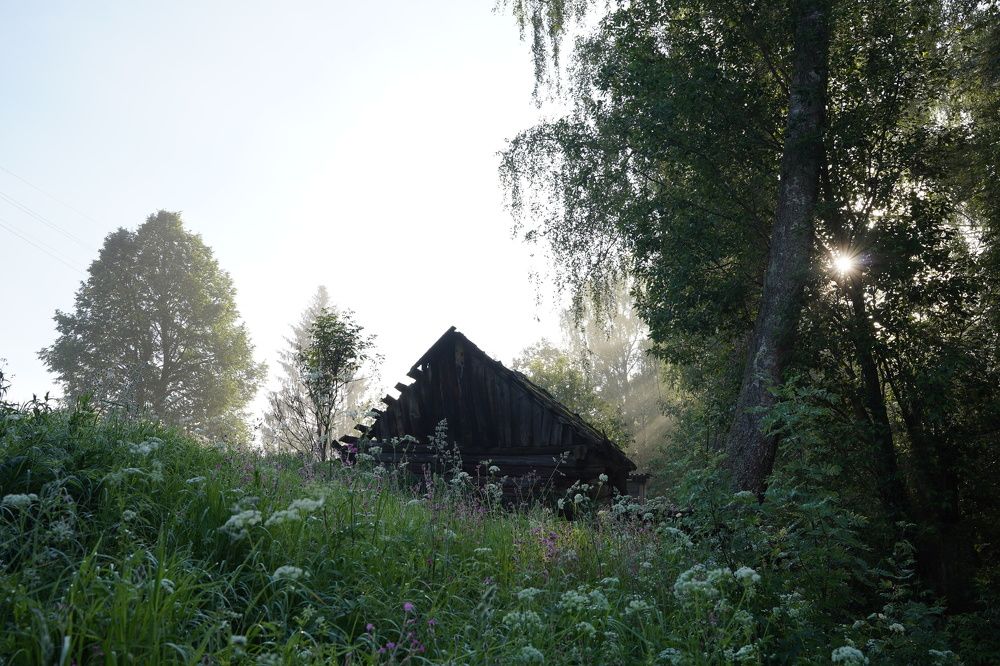 Photograph by Людмила Щепилова