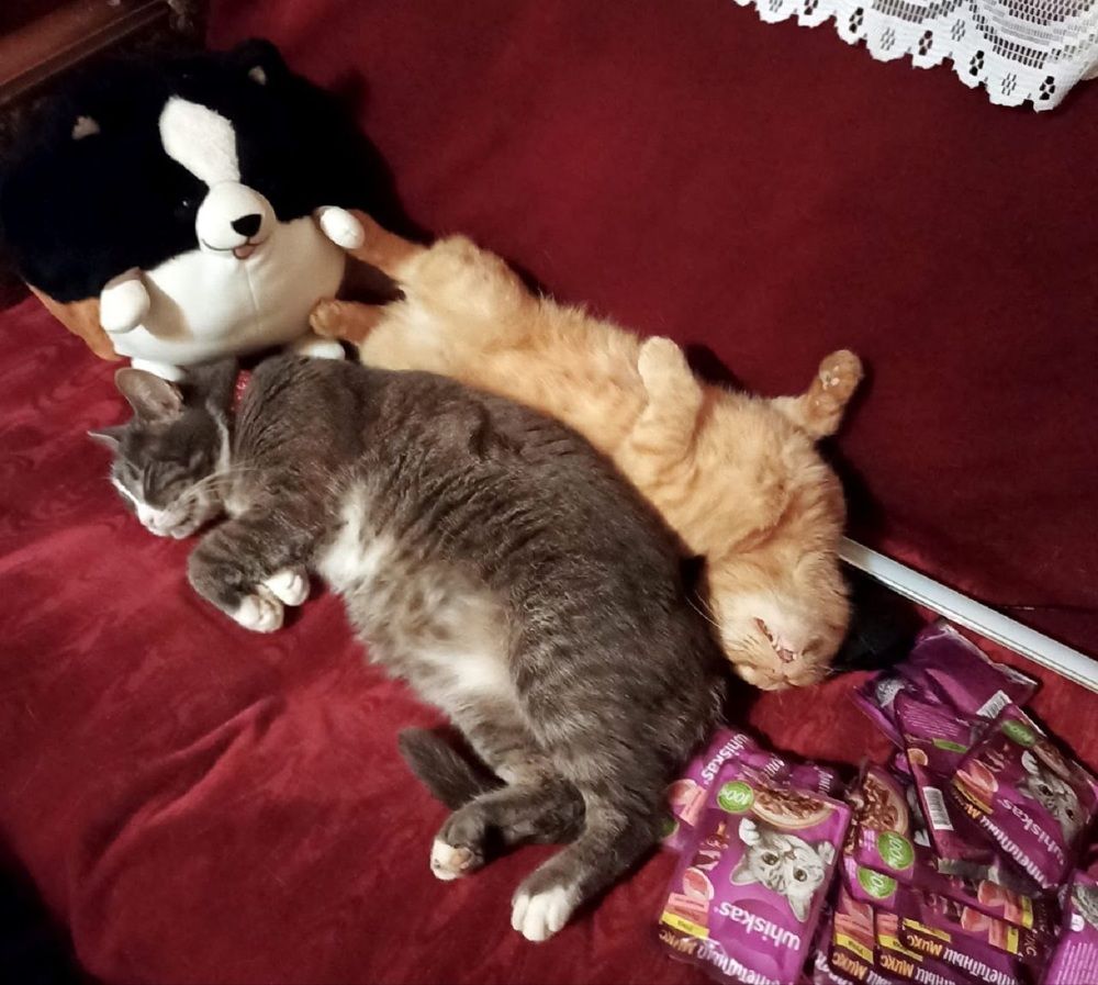 Фотография автора Людмила Чжен