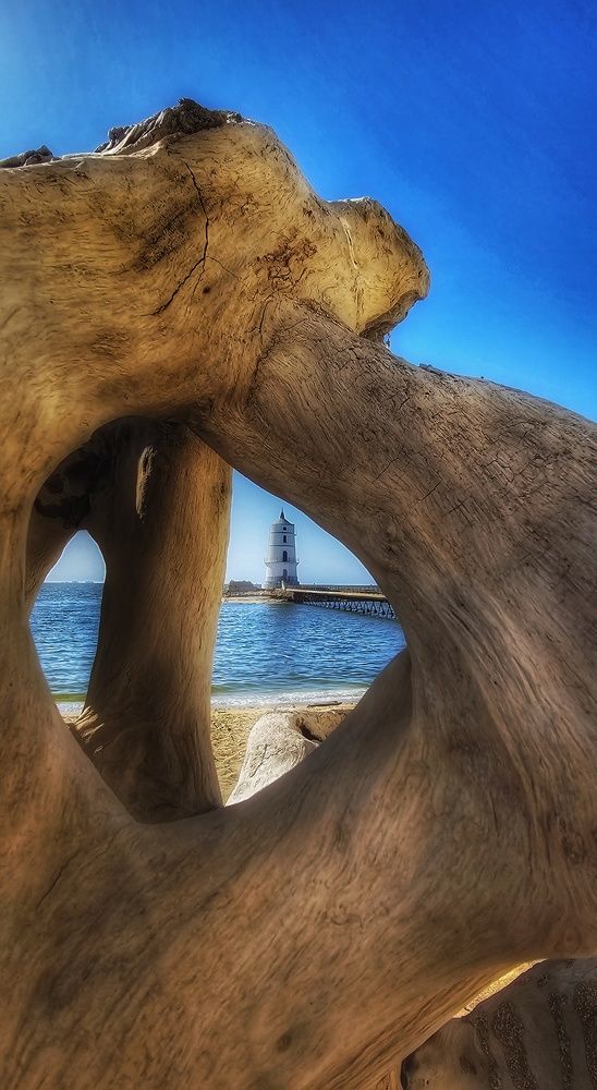 Photograph by Hanan Elmahmoudy