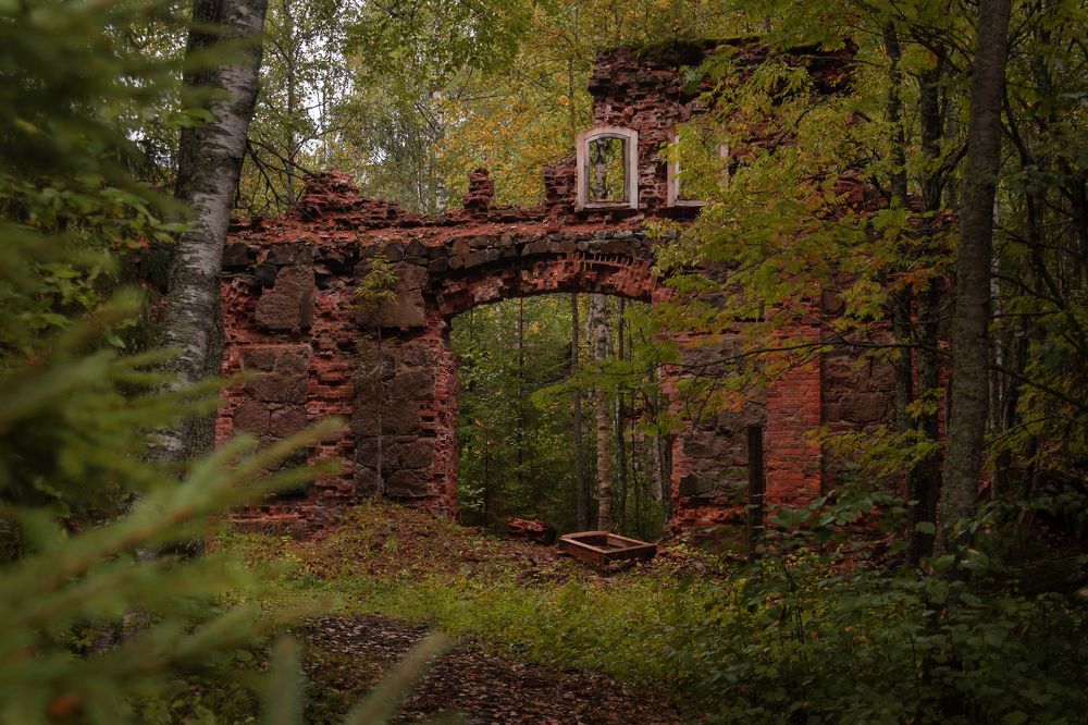 Портал в прошлое