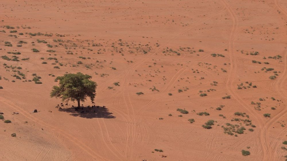 Photograph by Мозжухин Максим