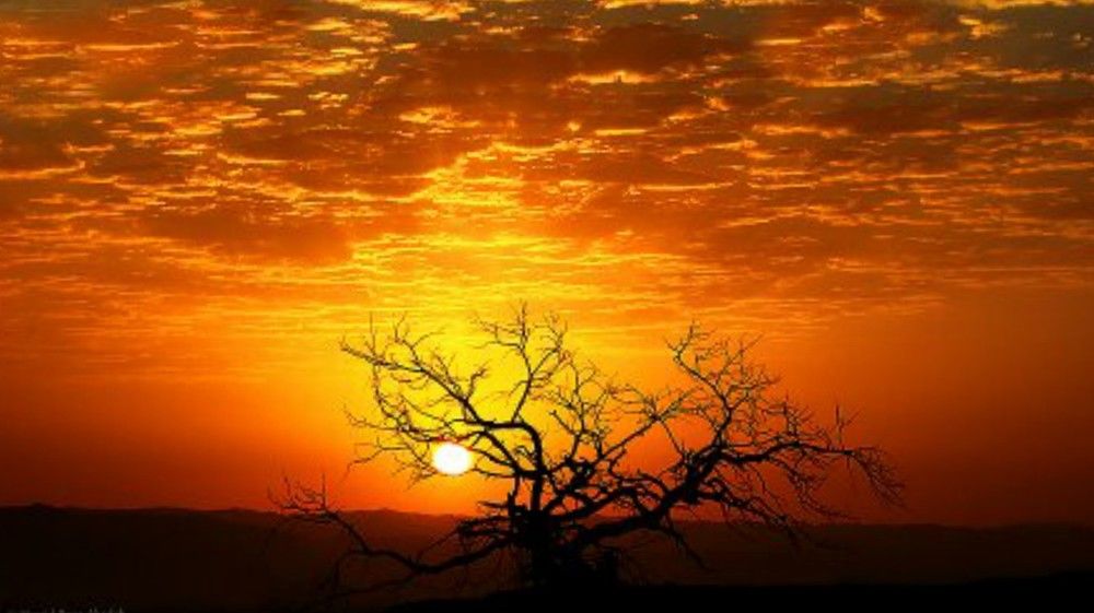 Фотография автора Hamid Reza Abadeh