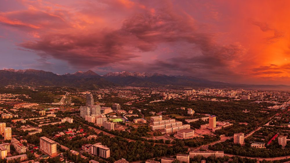 Фотография автора Роман Павлов