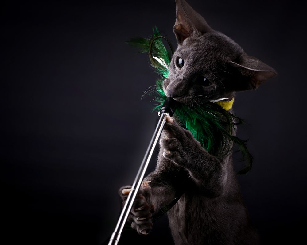 Photograph by Альвина Кузнецова