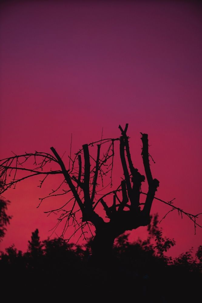 Photograph by Екатерина Степоненкова