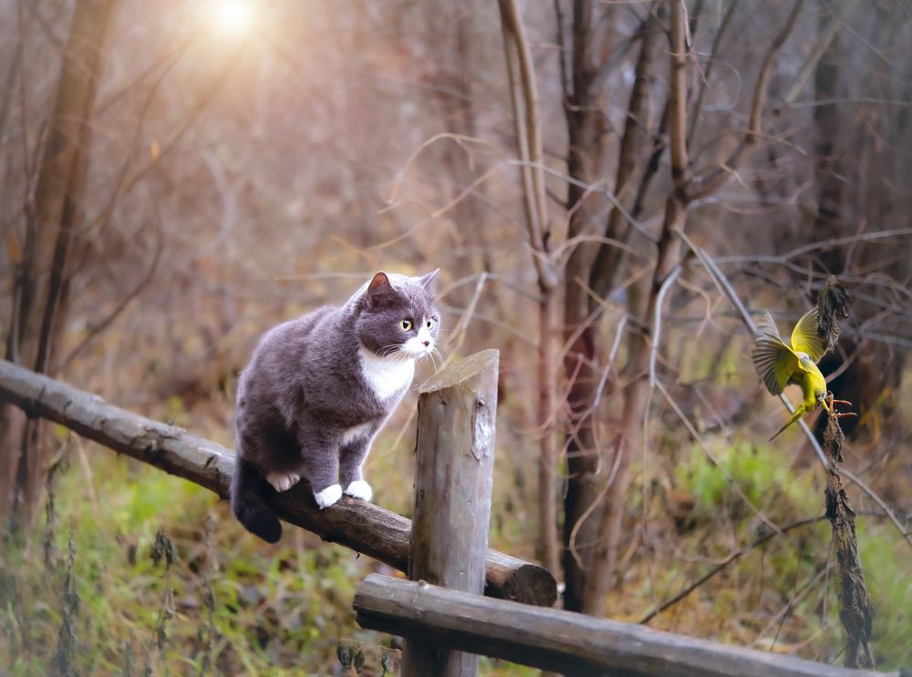 Photograph by Marina Ivanova