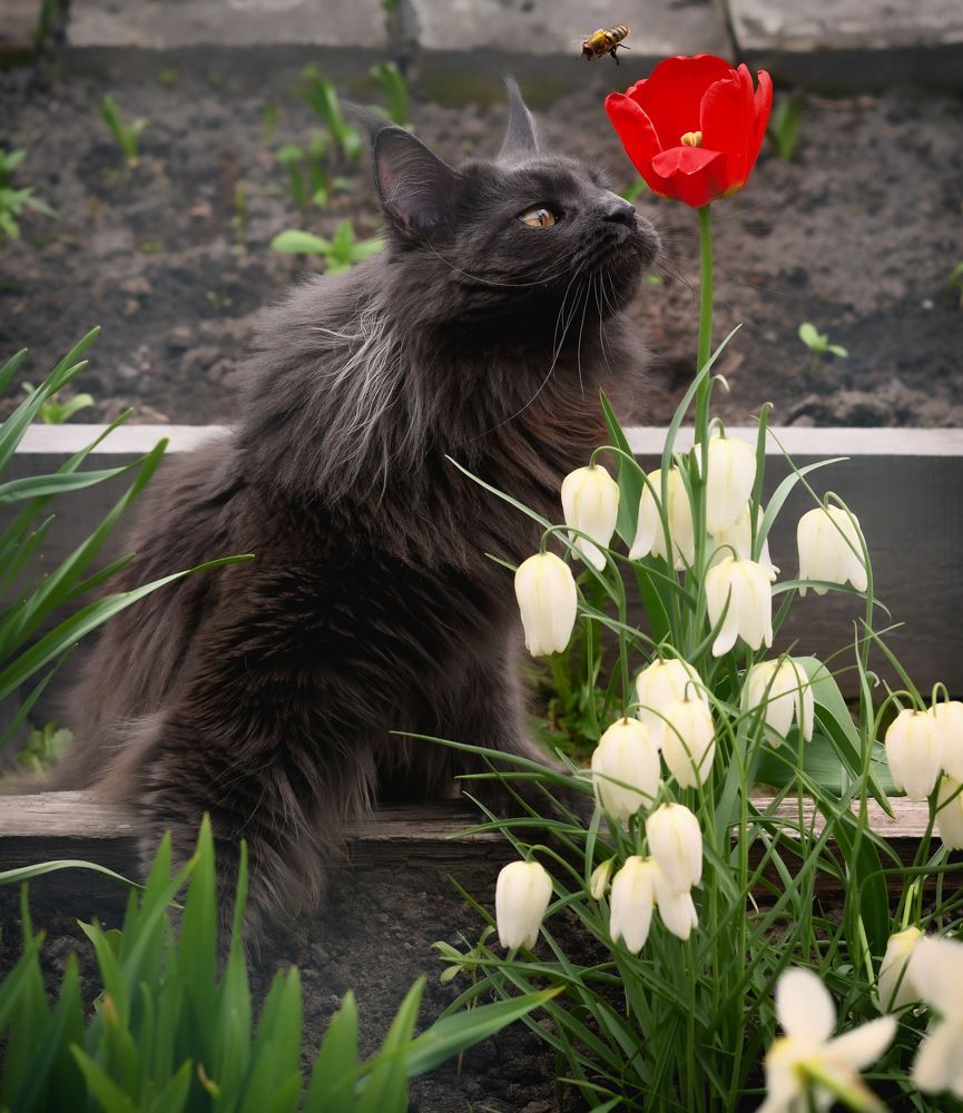 Photograph by Marina Ivanova