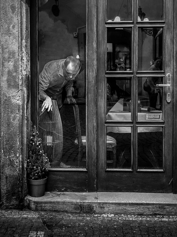 Фотография автора Laura Coufalová