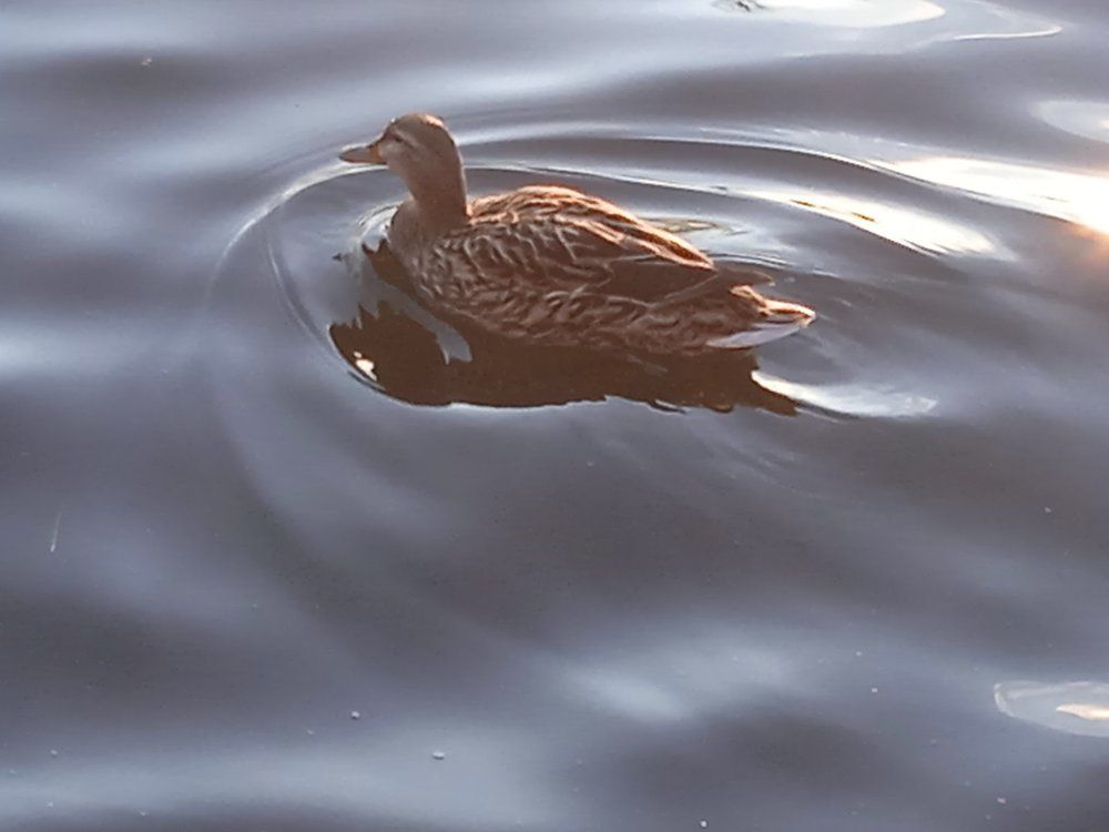 Photograph by Фёдор Викторович