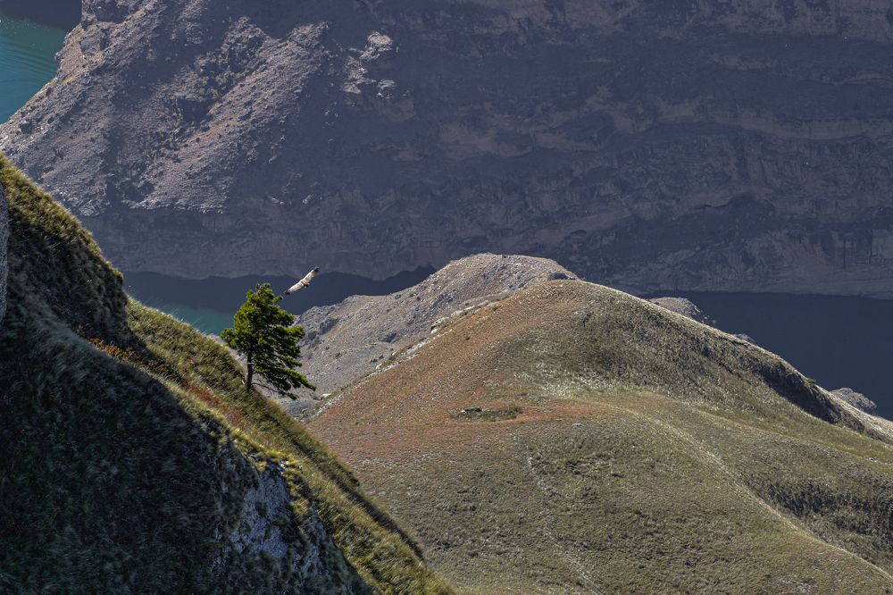 Photograph by Олег Корешонков