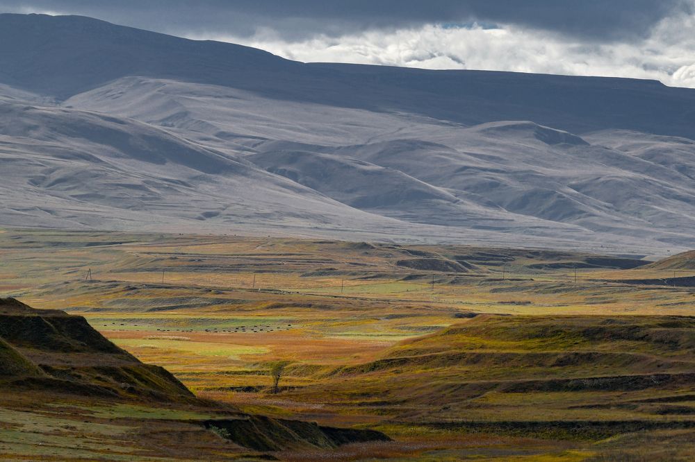 Photograph by Олег Корешонков