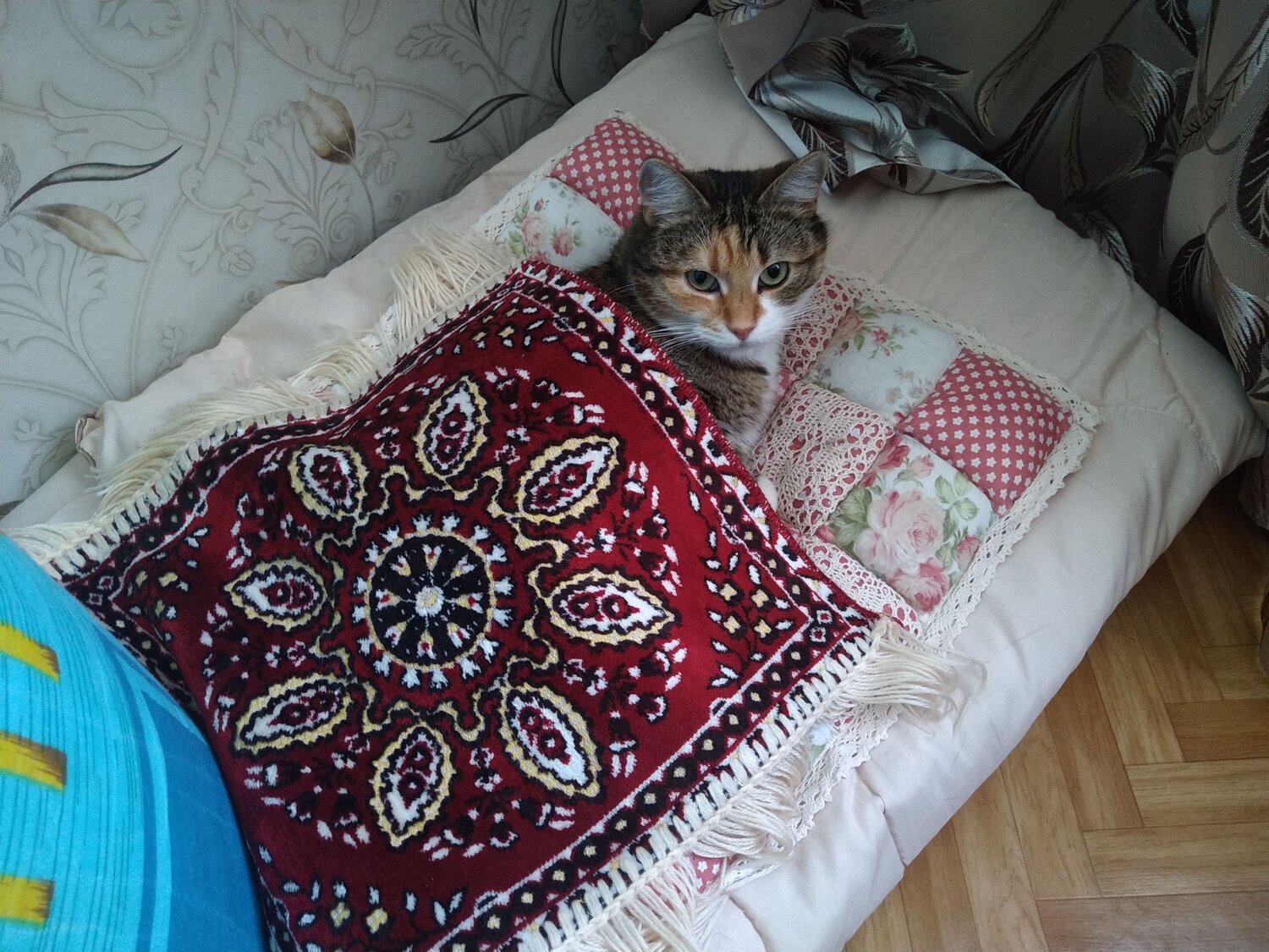 Photo #10710559