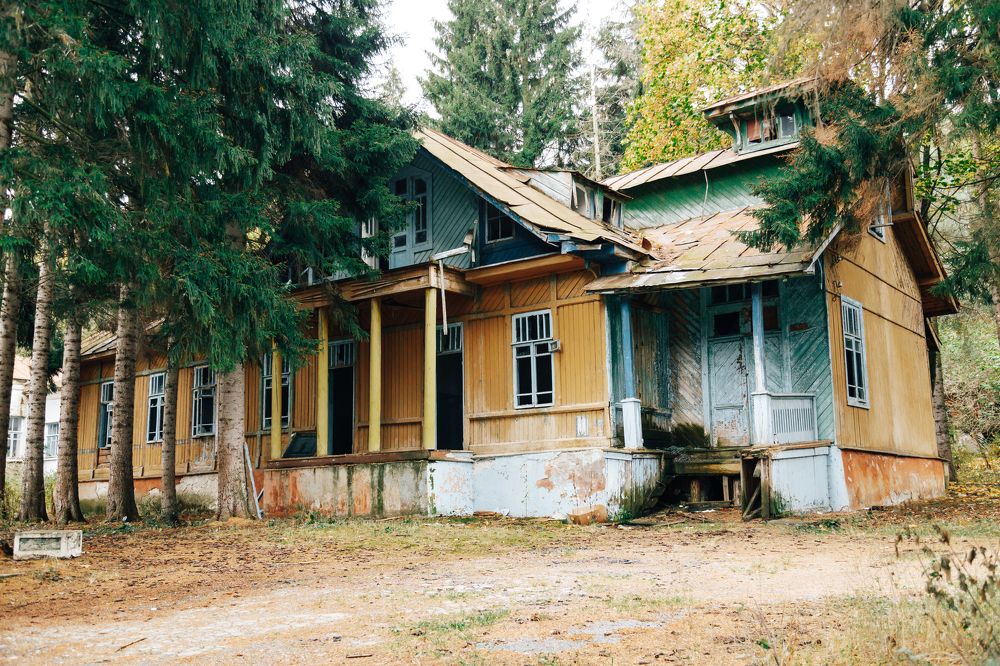 Photograph by Мария Федорова