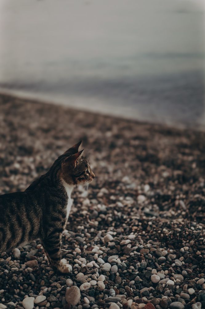 Photograph by Анна Балова