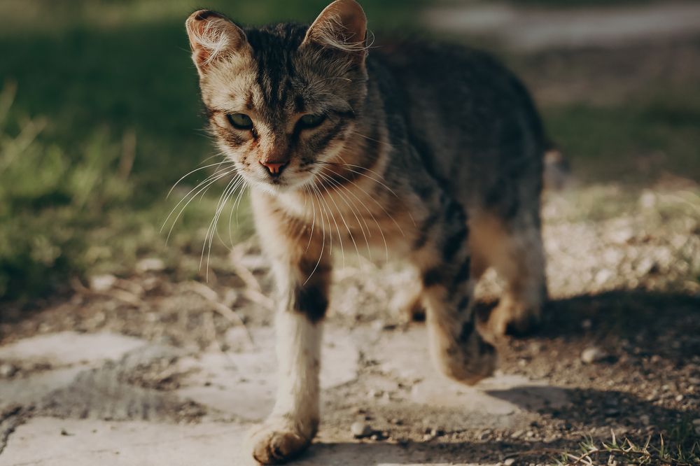 Photograph by Анна Балова