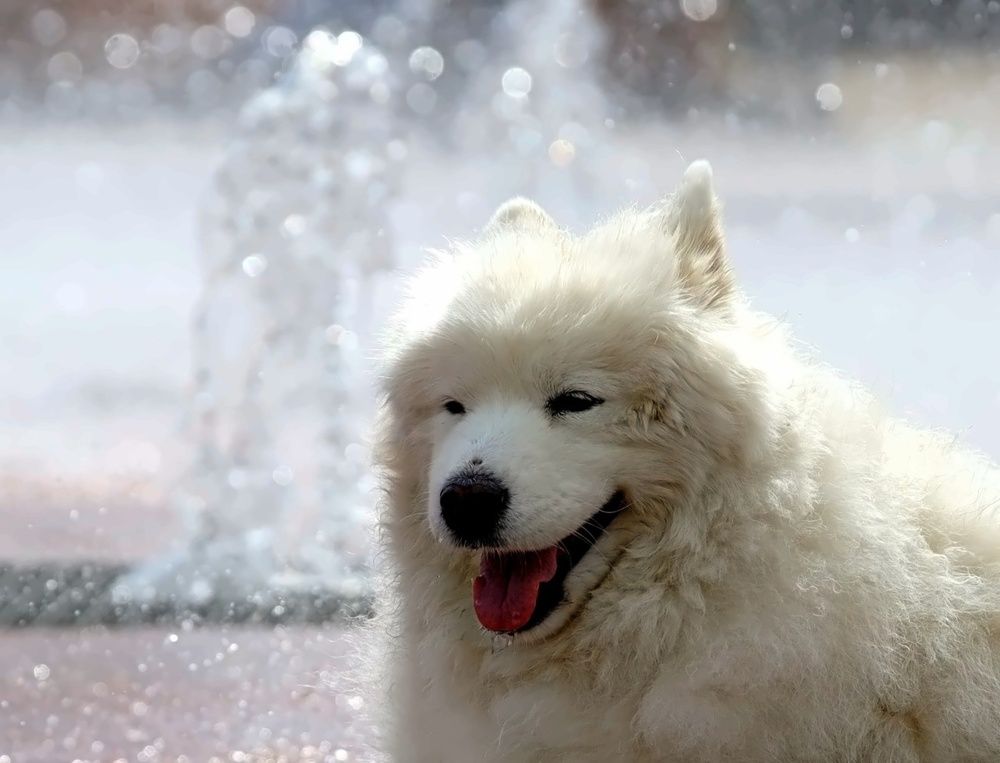 Photograph by Татьяна Слесарева