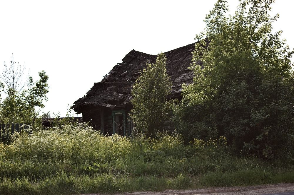 Photograph by Лариса Белашова