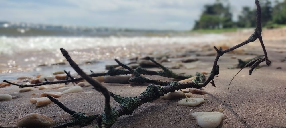 Фотография автора serubogo vicentes