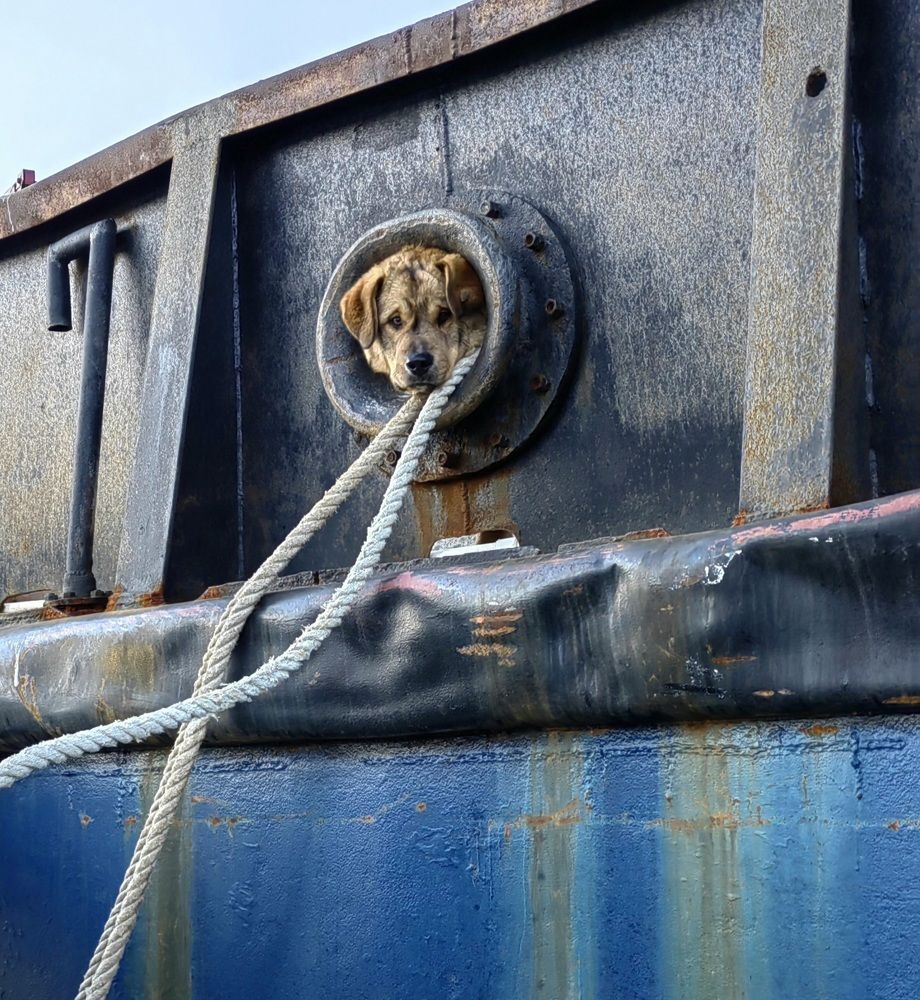 Photograph by Лариса Ким