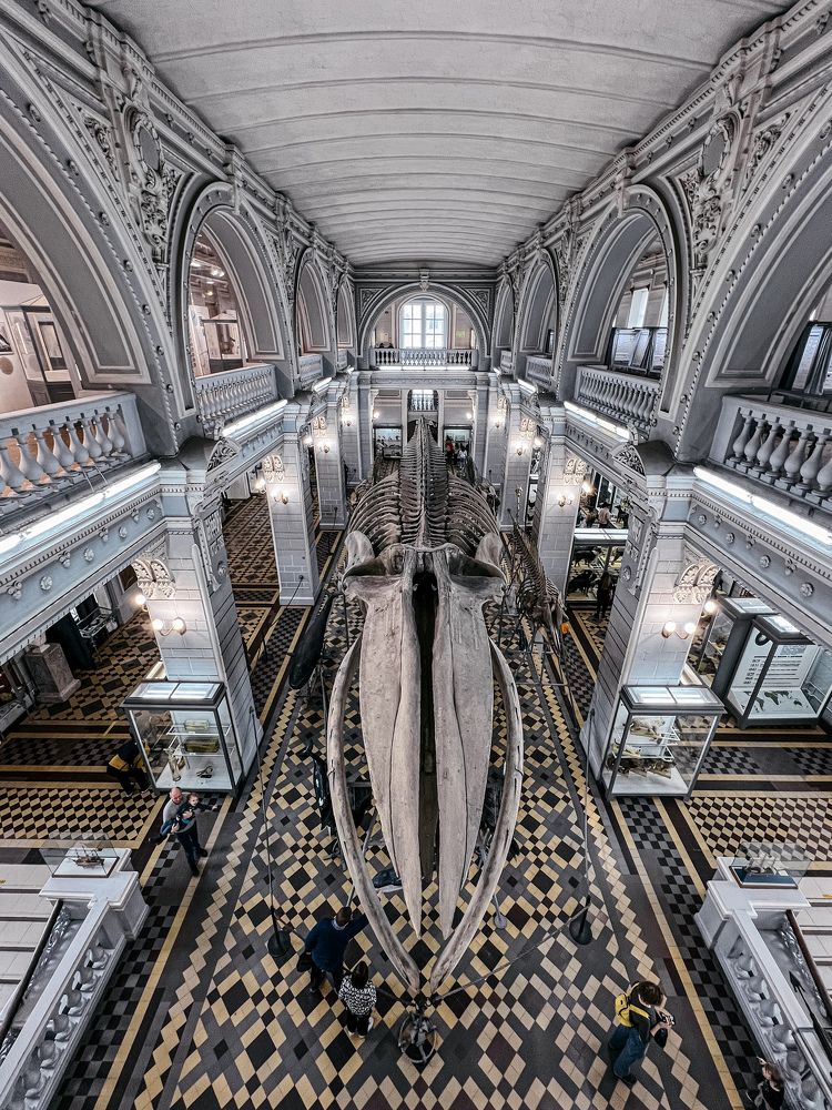 Photograph by Дарья Эглите