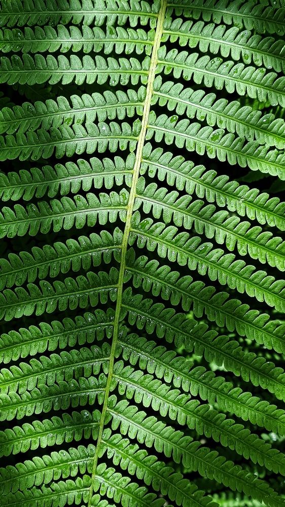 Photograph by Elina Nersesova