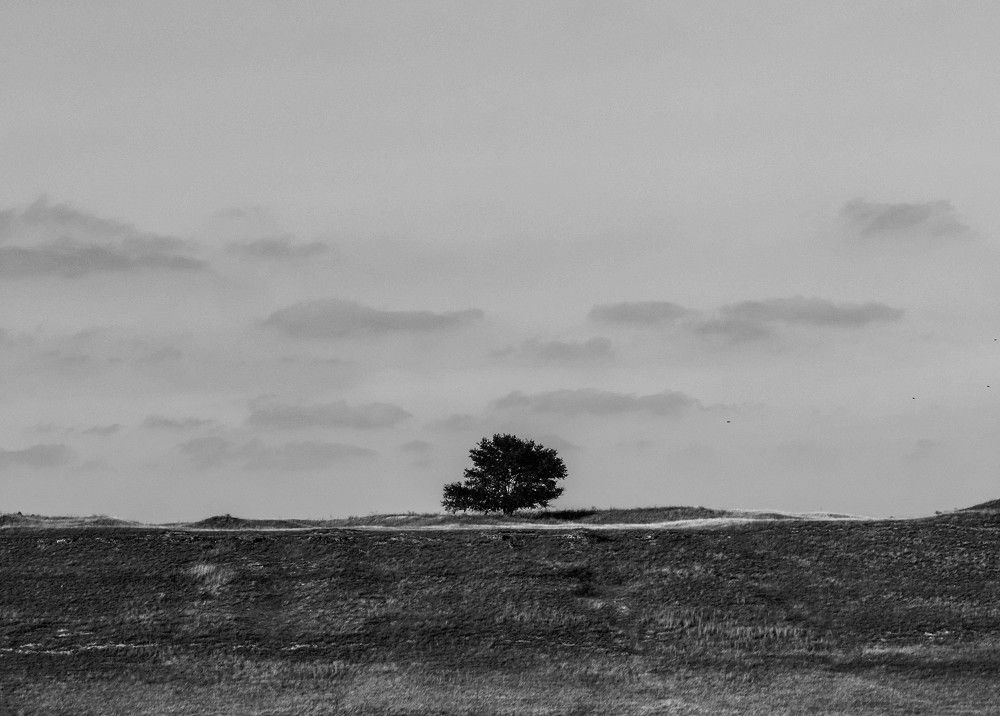 Photo #10710691
