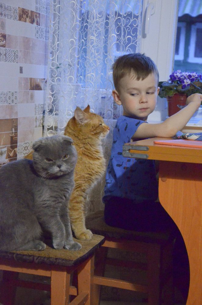 Photograph by Ольга Семенова