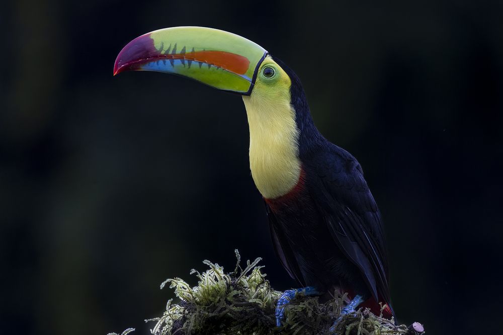 Photograph by Maria Gabriela Rocha Gomez