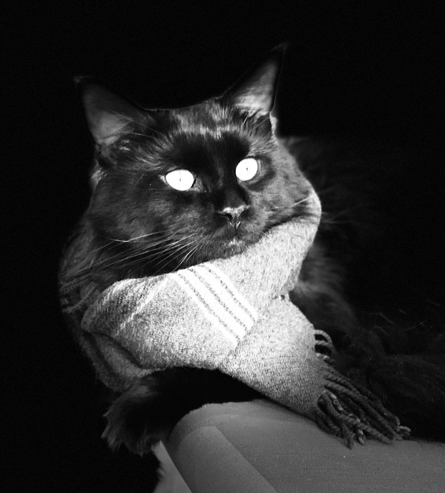 Photograph by Наталья Казачок