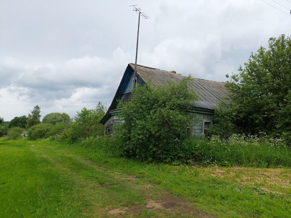 Photograph by Елена Тимченко