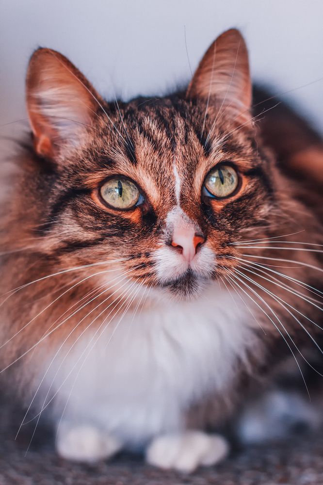 Photograph by Lana Soldatova