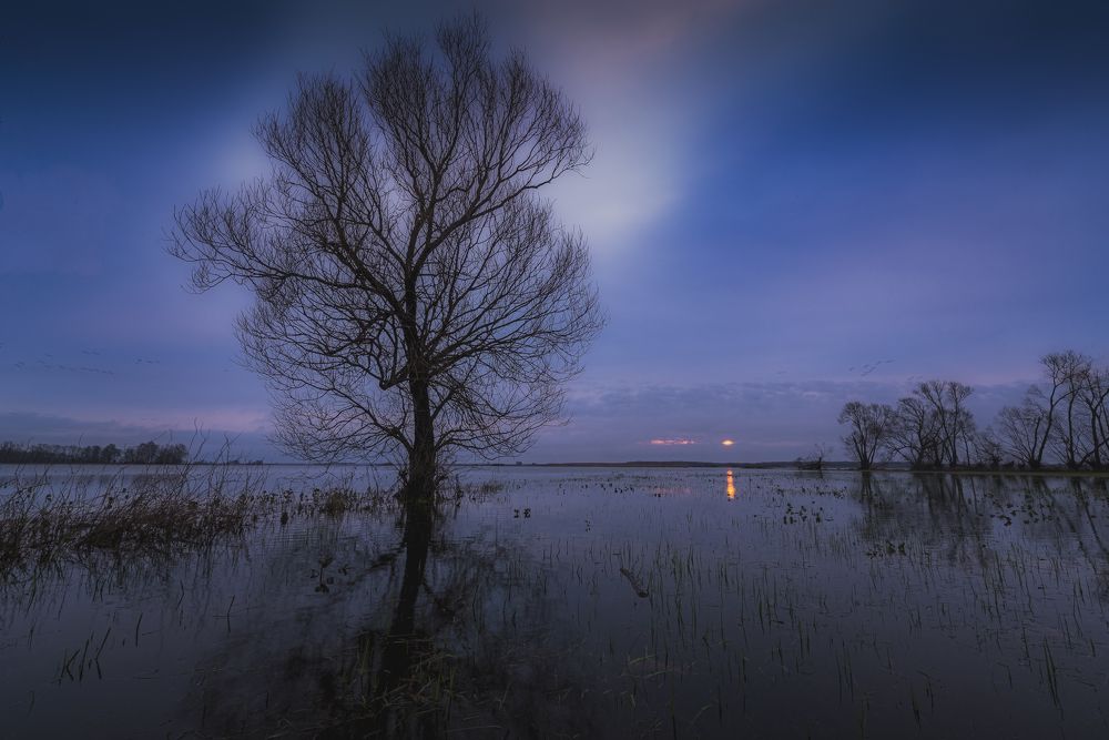 Photograph by Budyta Dariusz