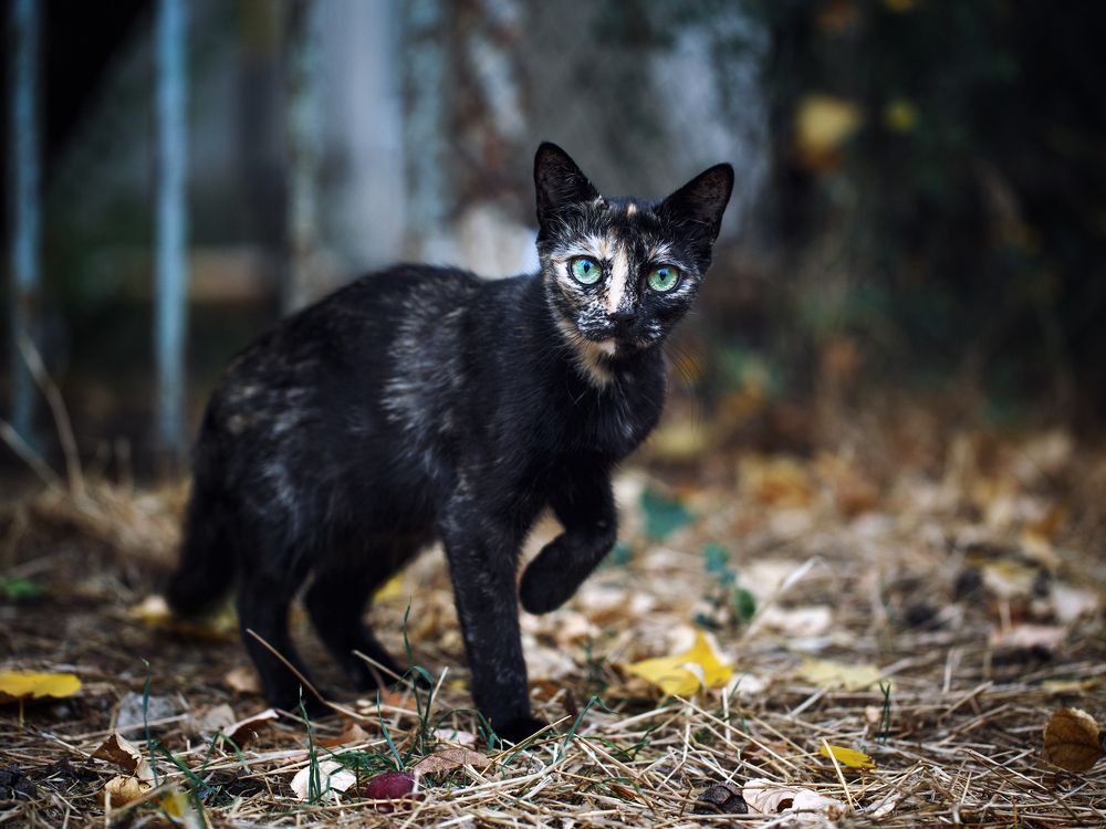 Photograph by Игорь Т