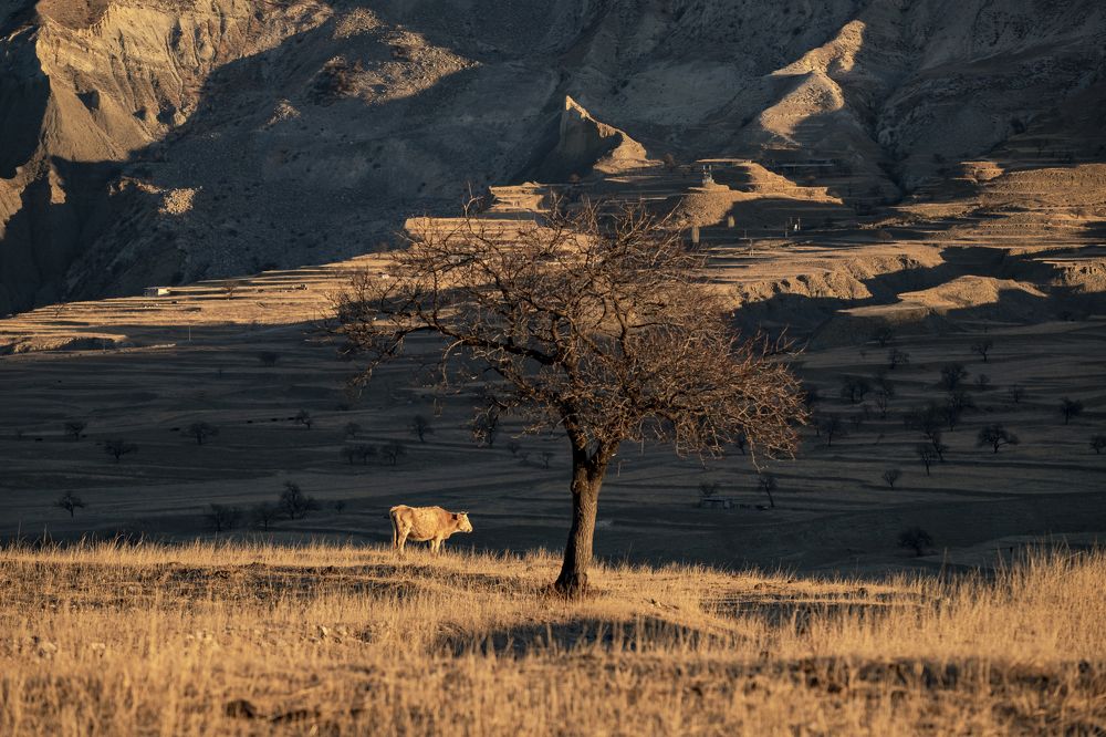 Тихие часы рассвета