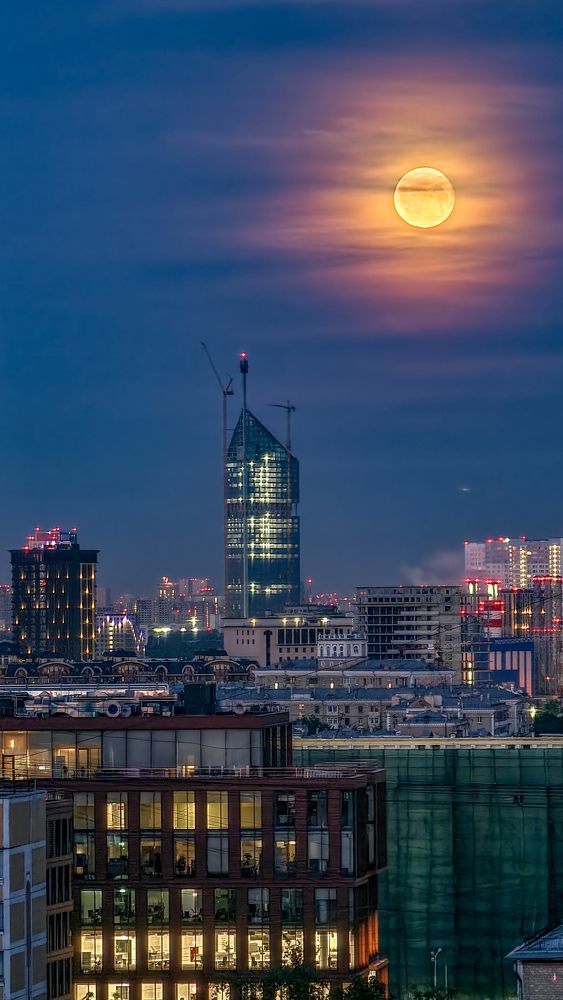 Бледный лик луны