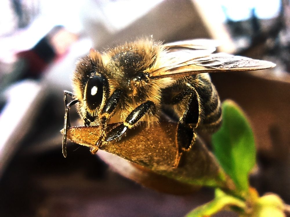 Photograph by Тимур Хохоев