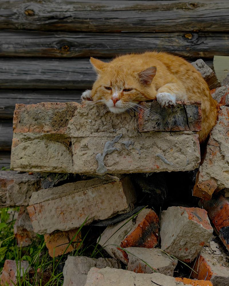 Photograph by Наталья Балабанова