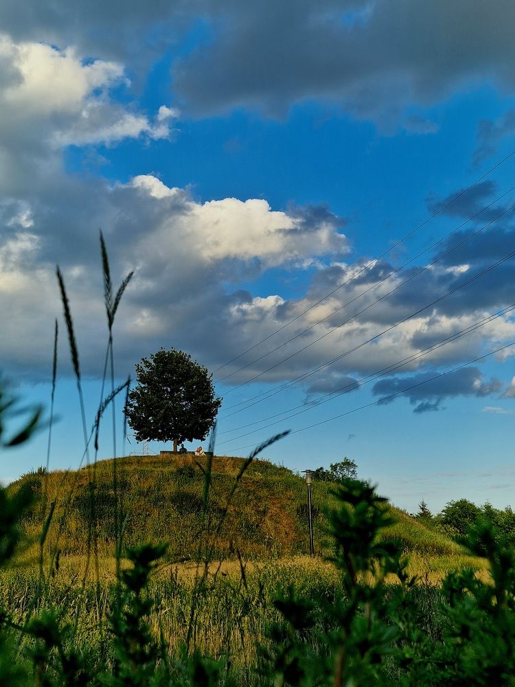 Фотография автора Maryna Pytliak