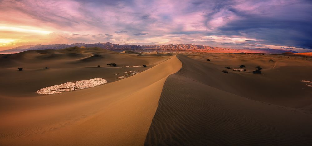 Photograph by Maria Gabriela Rocha Gomez