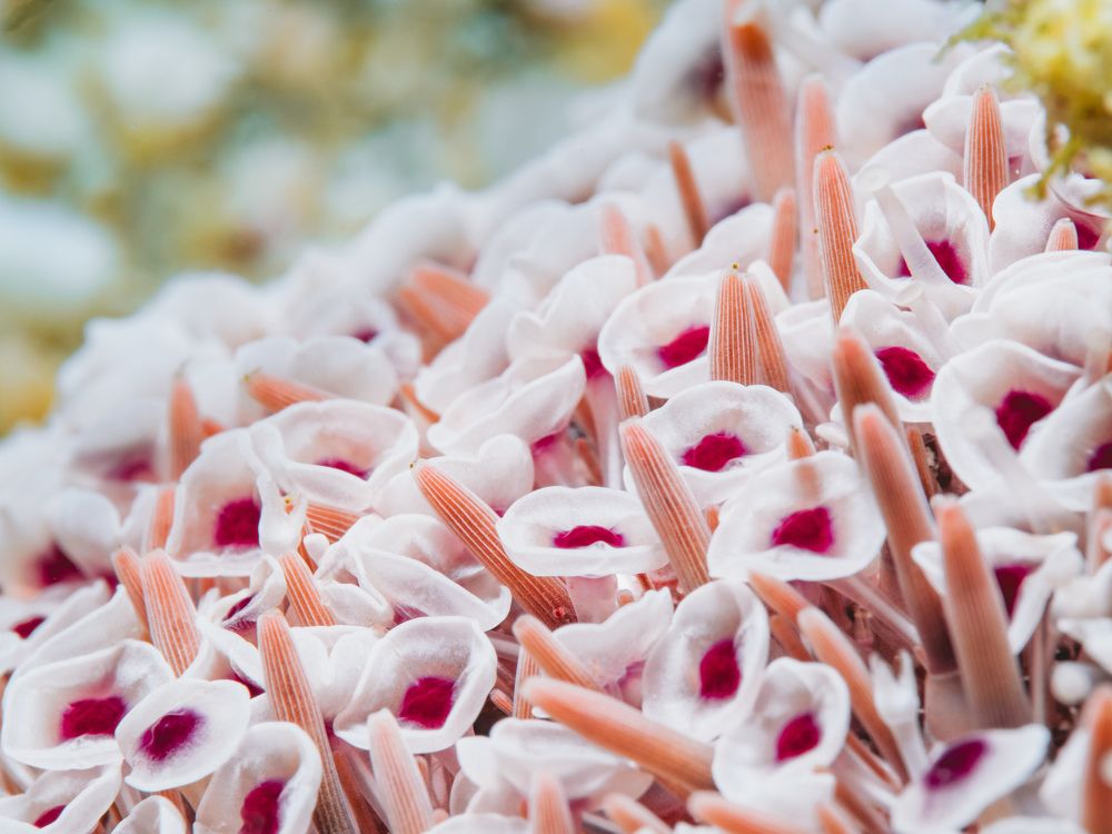 Photograph by Joy O'Connor