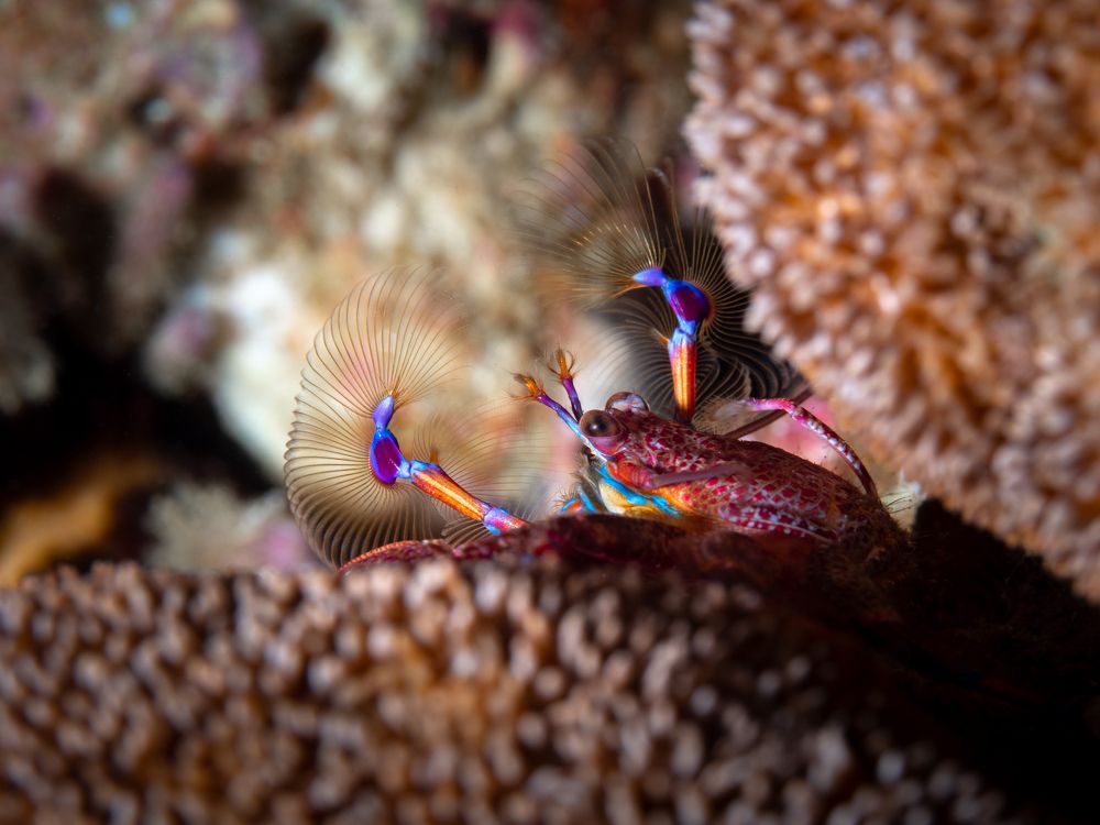 Photograph by Joy O'Connor