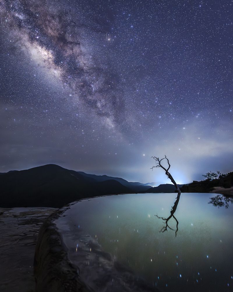 Photograph by Maria Gabriela Rocha Gomez