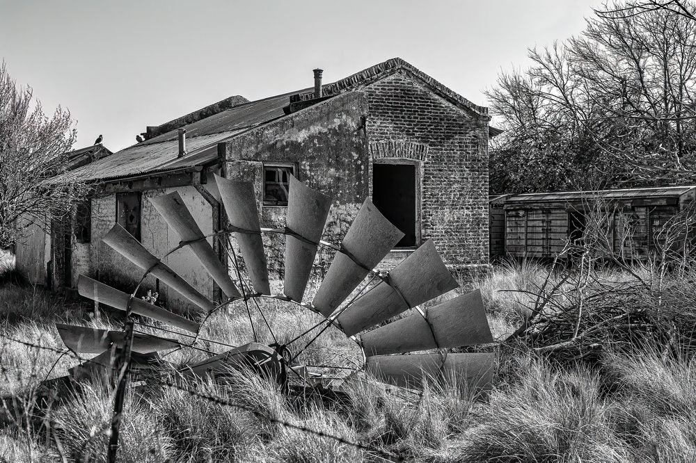 Фотография автора Carlos Gianoli