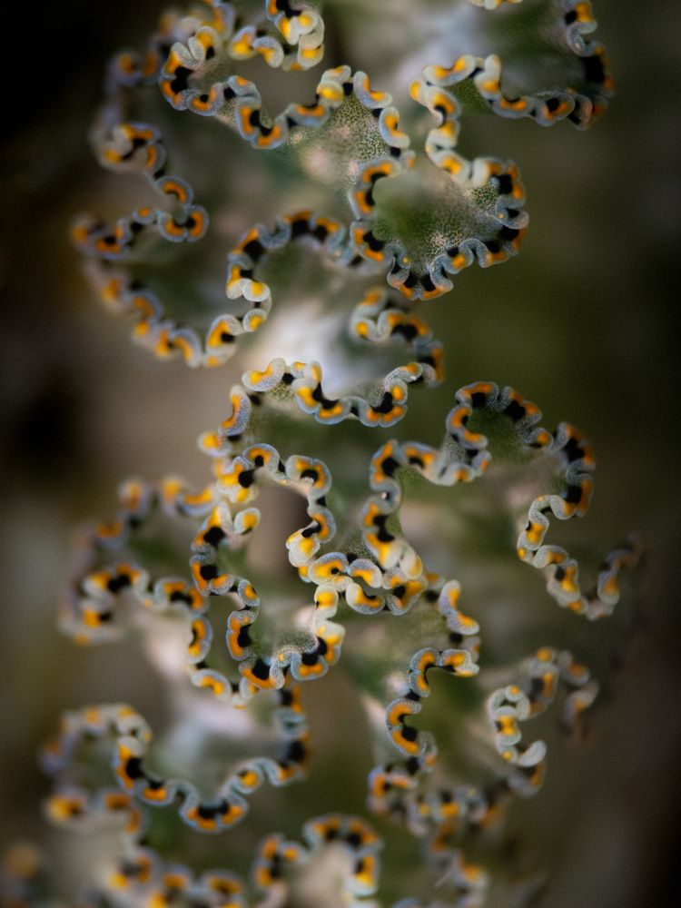 Photograph by Joy O'Connor